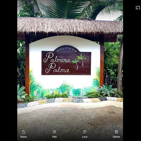 Palmera Palma Top Floor موالبوال المظهر الخارجي الصورة